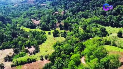 “Nguso ng baboy,” puwedeng gawing salad, adobo, at dinengdeng! | I Juander