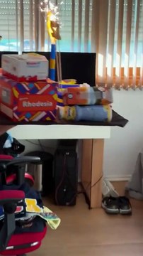 En medio de la disputa legal con Tomás Costantini, Jimena Campisi mostró como celebró el cumpleaños de 12 de Milo, el hijo que tienen en común. Miralo. 