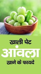 Amla khane ke fayed