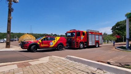 "13 patinhos foram passear..." Bombeiros são chamados para resgatar patos em vertedouro do Lago