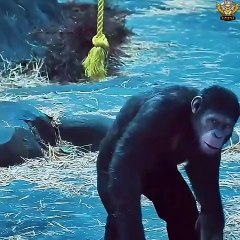 Epic Fight Scene from a Blockbuster Movie – Must Watch Tonight! 🔥