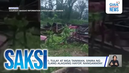 Daycare center, tulay at mga taniman, sinira ng Bagyong Ofel; ilang alagang hayop, nangamatay | Saksi