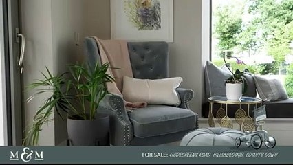 Take a look inside this stunning Hillsborough home