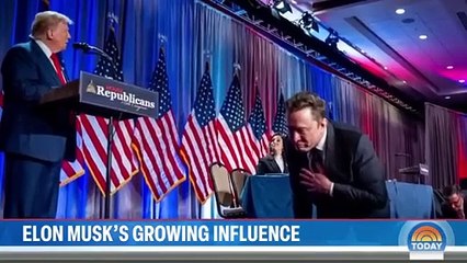 What to know about Elon Musk’s role in Trump’s new administration