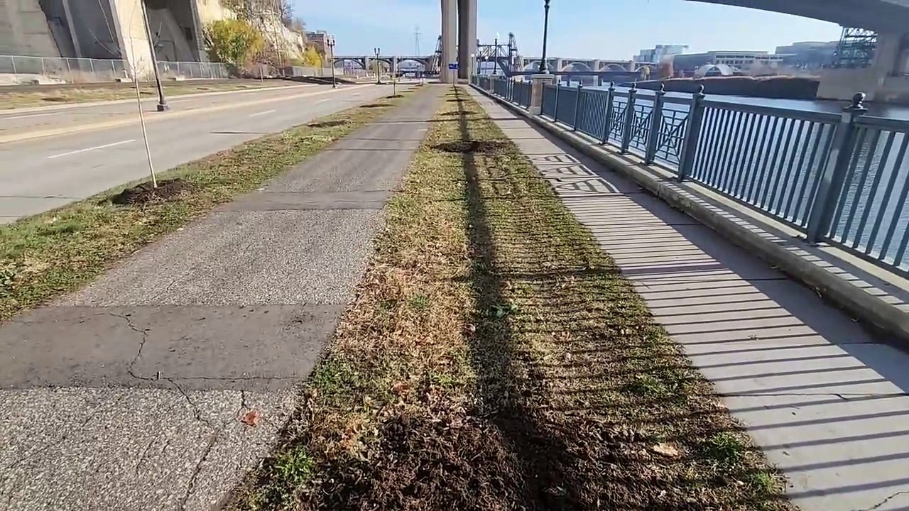 60 trees were ripped out of the ground along Sheppard Road in St. Paul with no explanation