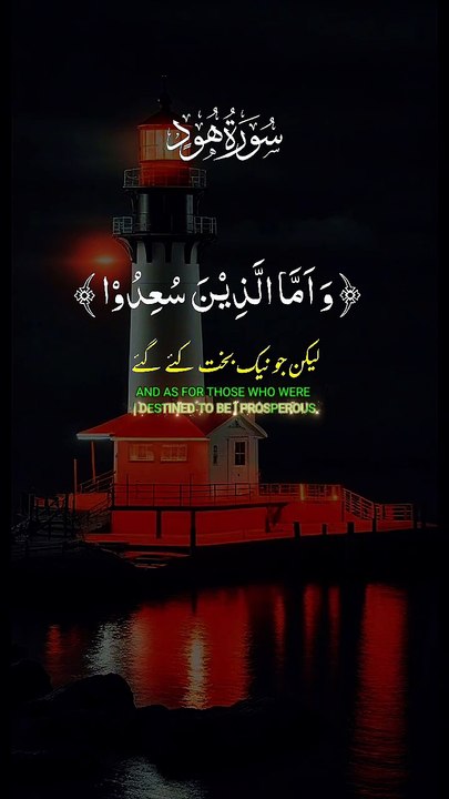 Beautiful Islamic video🌹 #islamicquotes #islamics