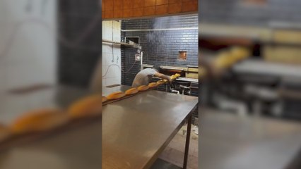 La satisfactoria forma con la que un panadero saca los panecillos del horno