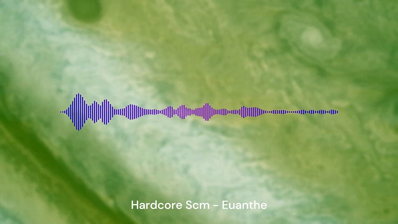 2016 - Hardcore Scm - Euanthe - Drum and Bass