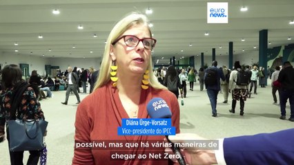 COP29: a neutralidade carbónica é apenas um sonho ou um objetivo alcançável?