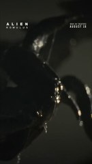 Alien_ Romulus New Moive