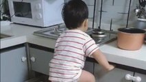 Fearless foodie lad ends up in kitchen drawer to satisfy hunger