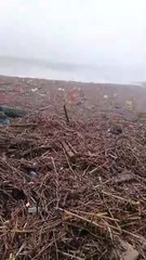 Roberto Brasero alucina con lo que está devolviendo el mar a Valencia con la sacudida de la DANA