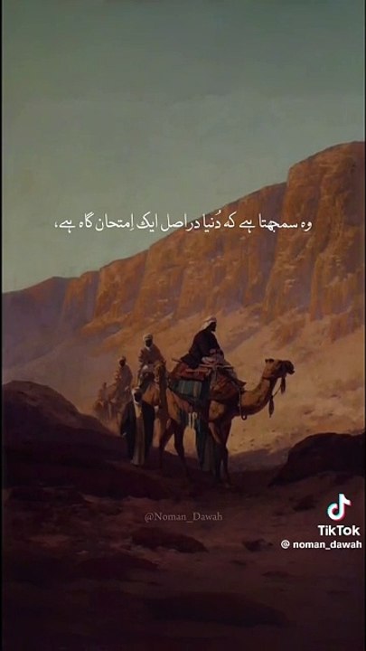 how life , we see and have