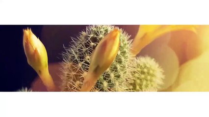 مسلسل انا ام 2 الحلقة 36 السادسة والثلاثون مدبلج HD