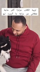 هل تربية الكلاب حرام؟