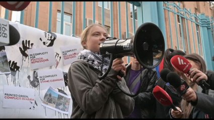 Greta Thunberg manifesta contro l'Azerbaigian: "Viola diritti umani"