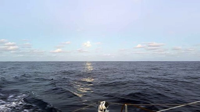 Pedote prend la tête du classement devant Goodchild - Voile - Vendée Globe