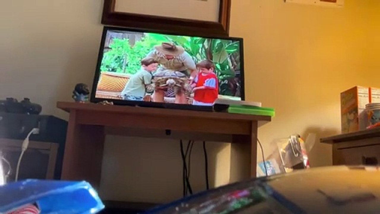 The Wheels On The Bus TV Series: The Reptile Show Final Part