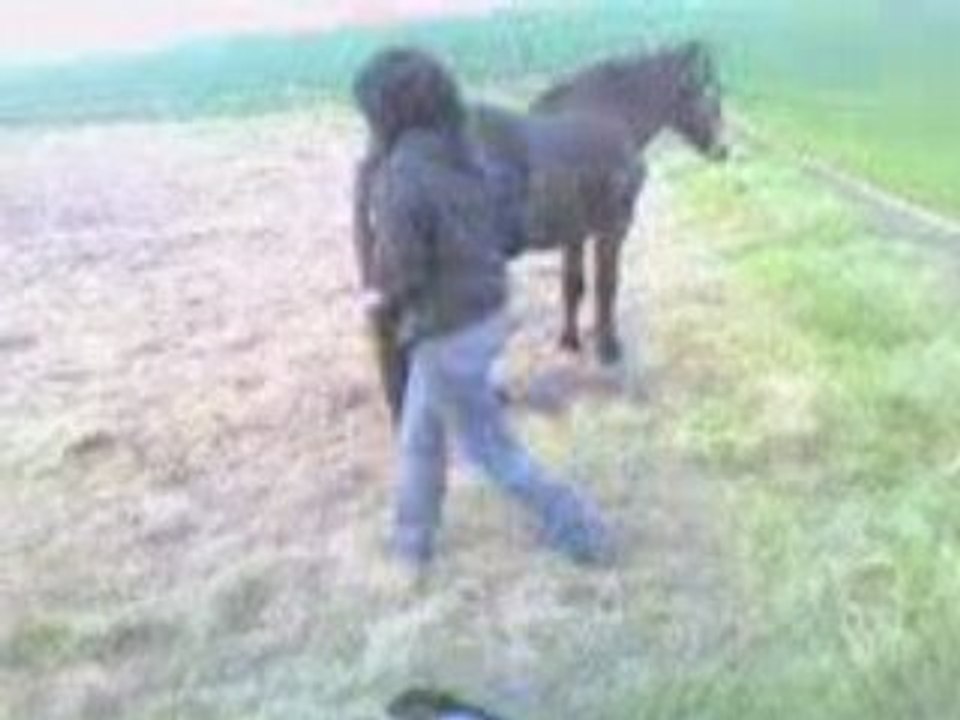 Video-0009
