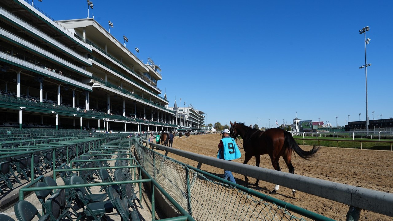 Top Horse Racing Picks for Upcoming Races: An Analysis