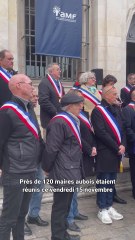 Les maires aubois contre le projet de loi finance 2025 : "C'est le musée des horreurs de Bercy qui nous est proposé"