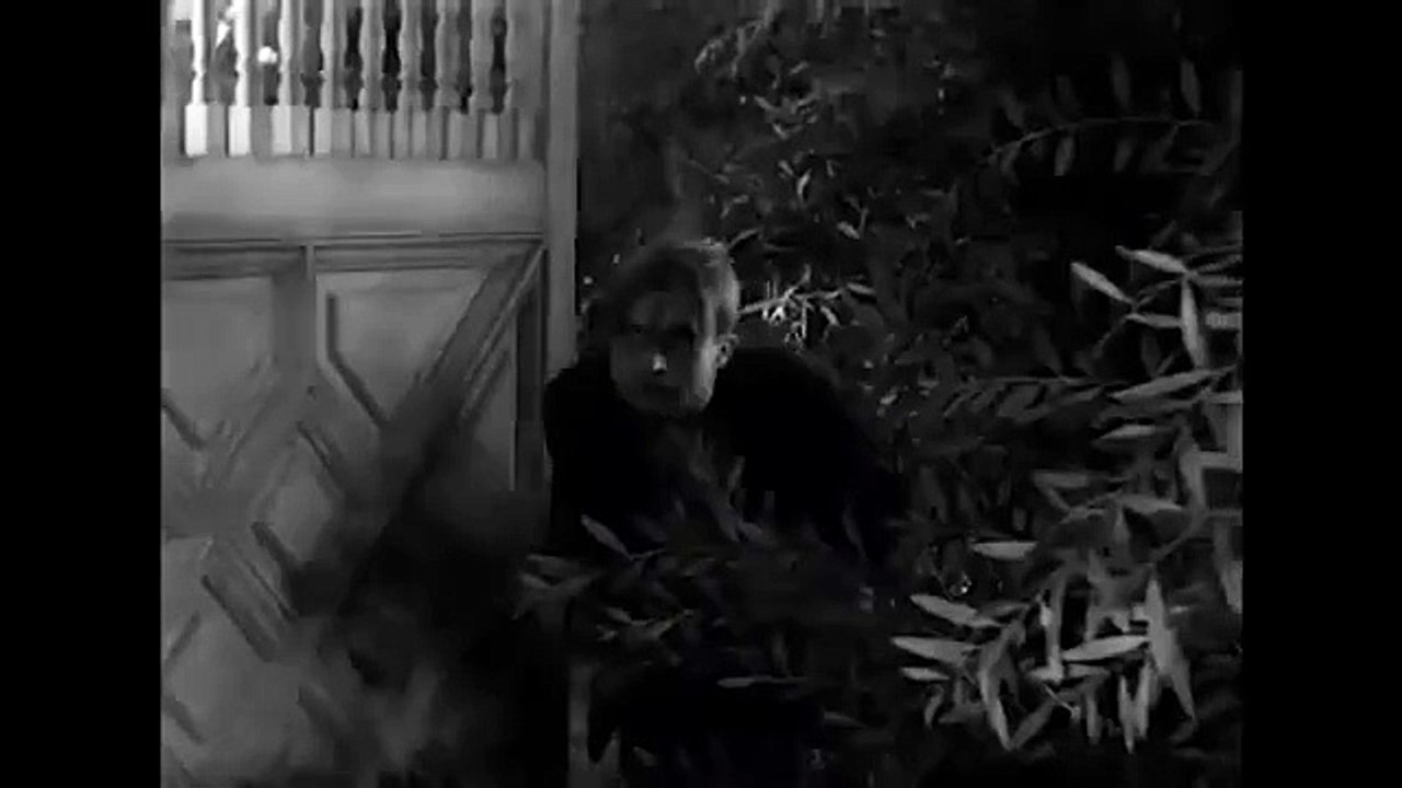 THE VAMPIRE BAT Exclusive Full Fantasy Horror Movie Premiere HD 2024