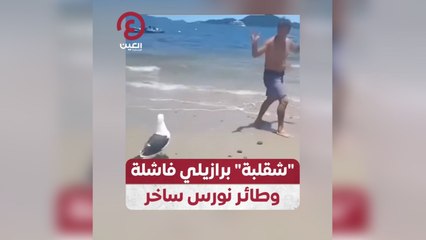 "شقلبة" برازيلي فاشلة وطائر نورس ساخر