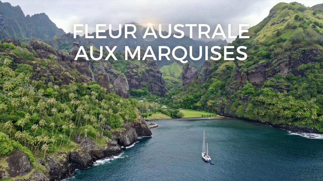 Fleur Australe