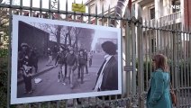 Torino, mostra fotografica sulle inferriate della Mole