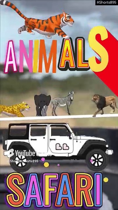 ANIMALS of Safari #wildlife #shorts895