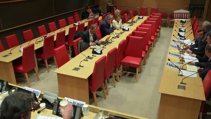 Violences commises dans les secteurs artistiques et médiatiques : Audition de représentants de la Société civile des Auteurs-Réalisateurs-Producteurs ; Table ronde réunissant des assureurs - Jeudi 14 novembre 2024