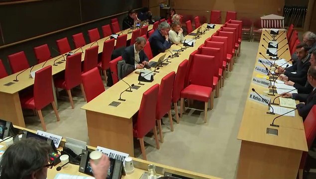 Violences commises dans les secteurs artistiques et médiatiques : Audition de représentants de la Société civile des Auteurs-Réalisateurs-Producteurs ; Table ronde réunissant des assureurs - Jeudi 14 novembre 2024