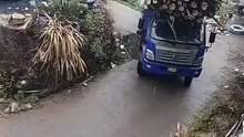 A car of beautiful bamboo passes through a bend