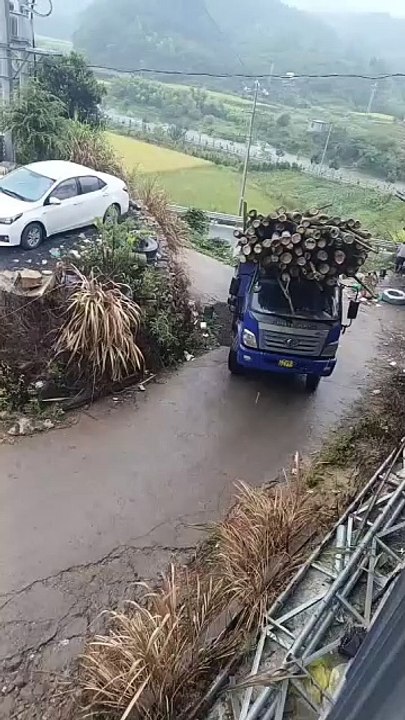 A car of beautiful bamboo passes through a bend