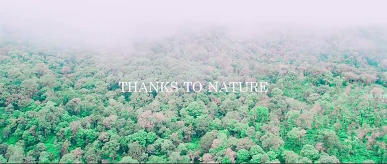 PePe 2024 Kannada HQ HDRip  ESub Full Movie