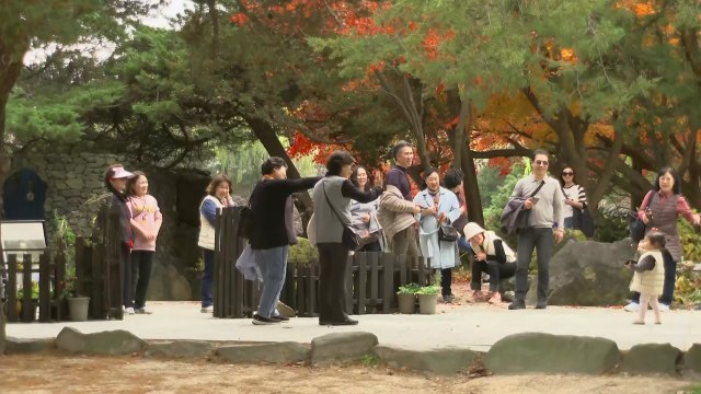 [날씨] 서울 22.6℃, 11월 중순 역대 최고 기온...오후에 비 / YTN