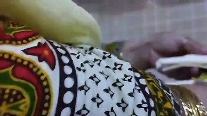 Doodh Dulaari _ Quick Dessert _ Bread & Milk _ Very Delicious