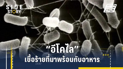 "อีโคไล" เชื้อร้ายที่มาพร้อมกับอาหาร | Side Story
