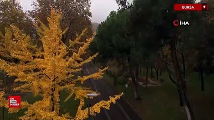 Bursa sonbahar renklerine büründü