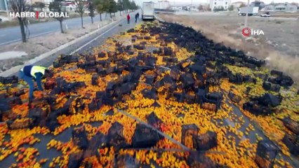 10 ton mandalinayı böyle görenler şoke oldu!