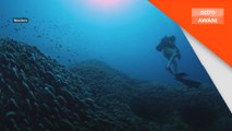 Terumbu karang terbesar dunia ditemukan di Kepulauan Solomon