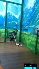 Funny Panda Cub Moment at Chimelong Safari Park 🐼 _ Panda Care Tips #shorts