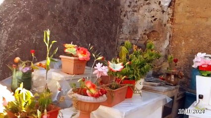Domingo en el Cementerio de Tacuarembó (11/11/2024)