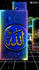 lv_7258866775419374850_20241116144322