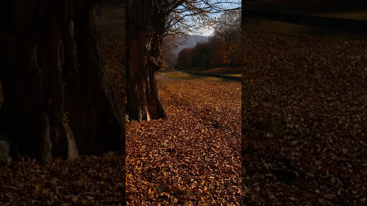 🍂 Yeni ilhamlar alıyorum sonbahardan 🧡