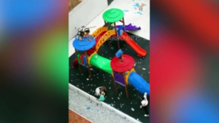 Vídeo mostra desespero de criança ao ser atacada por Pitbull em parquinho