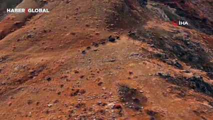 Elazığ'da görüntülenen domuz sürüsünden şaşırtan görüntüler