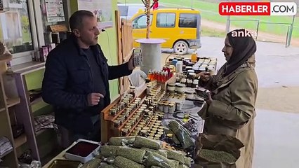 Safranbolu'da Safran Hasadı Sona Erdi: Kilo Fiyatı 450 Bin TL