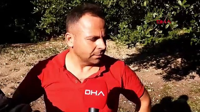 Doğada kendiliğinden yetişiyor, 400 TL'den alıcı buluyor