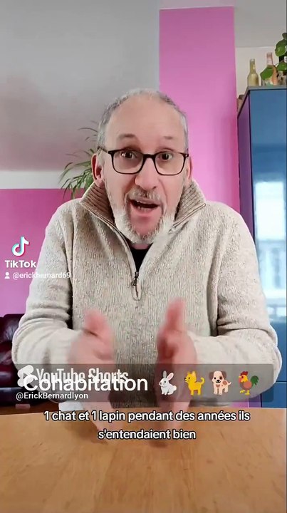 Cohabitation entre animaux🐓🐕🐈🐇